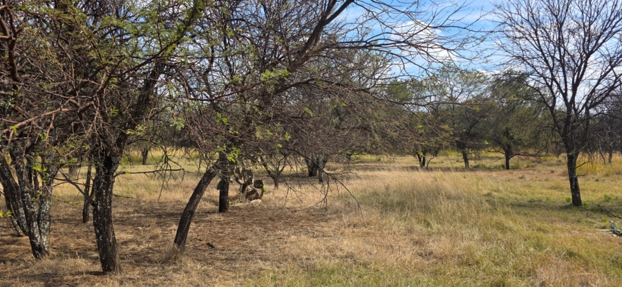 0 Bedroom Property for Sale in Wilkoppies North West